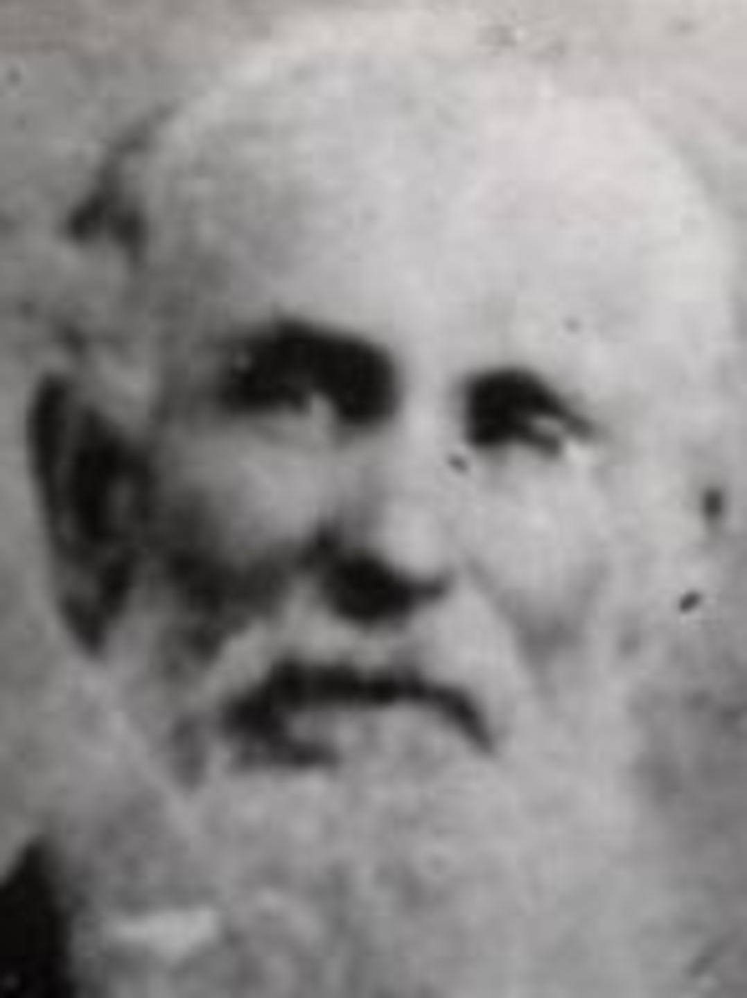 Darwin Mosier Walton (1830 - 1917) Profile